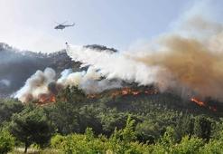 Antalya'da 3 günde 22 yangın! 80 dekar kül oldu