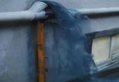 İstanbul'da bir ilçeyi 'mavi su' bastı! İş yerleri çalışamaz hale geldi, sokak köpekleri öldü