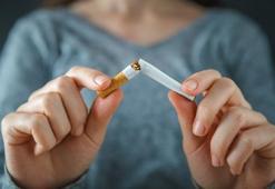 Fare zehirinden siyanüre neler yok ki!  “1 sigaradan bir şey olmaz” demeyin!