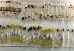 Kobra yılanı zehri ve arı zehri ele geçirildi! Piyasa değeri 3 milyon 350 bin lira