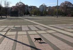 Hafta sonu yasağı kalktı mı? Hafta sonu dışarı çıkma yasağı devam mı ediyor, kaldırıldı mı?