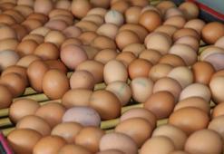 Organik yumurtayı ayırt etme yolları