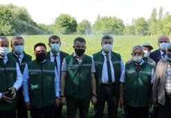 Su tasarrufu sağlıyor! Bakan Pakdemirli duyurdu!