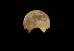 Süper Çiçek Kanlı Ay tutulması gerçekleşti! İlk kez oluyor...