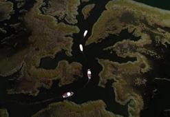 Reuters'ın gözünden İztuzu!