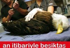 Gençlerbirliği - Beşiktaş maçı Caps'leri