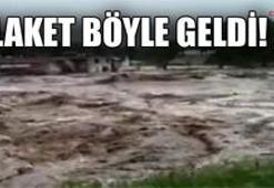 Böylesi ancak Türkiye'de olur!