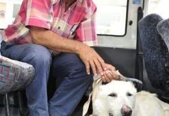 Fotoğrafa dayanamadı