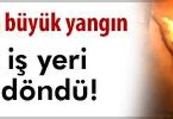 'Neden haber vermedin dedi...'