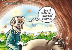 'İmralı süreci' Penguen'de!
