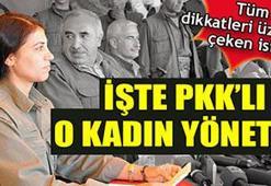 'Türkiye'den giden PKK'lılar...'