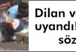 'Dilan örgüt üyesidir'
