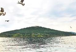 Şimdi ada zamanı