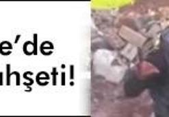 'Hepsini katledeceğim!'