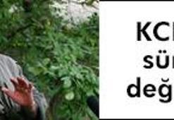 PKK'daki değişimin şifresi