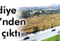 553 milyon lira mı yeşil bir park mı?