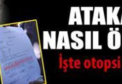 'Onları feda etmek için mi büyüttüm?'