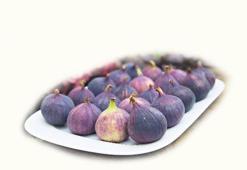 Kate yedi rekor kırıldı