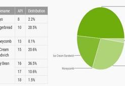 Jelly Bean kullanımı artmaya devam ediyor