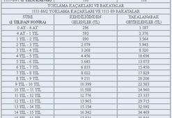 46 bin liraya kadar cezası var!
