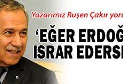 Arınç, AK Parti'nin akil adamı!