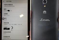 Huawei Ascend Mate II ortaya çıktı