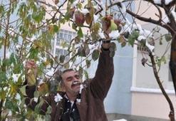 Karla kaplı ağaç görenleri şaşırttı!