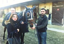 Atı ihaleyle satılacak!