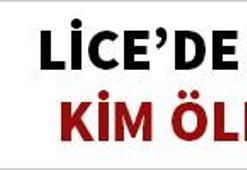 Lice davası 20 yıl sonra tekrar başladı