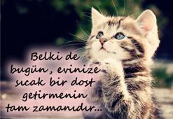 Bugün onların günü!