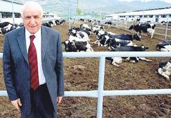 Şahenk’ten kendin besle, kendin pişir!