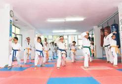“Sensei” Bonzai’ye karşı