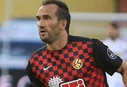 Eskişehir'de Gekas endişesi!