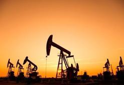 Doğal gaz ile ilgili flaş gelişme! Böyle duyurdular