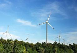 Bakan Dönmez duyurdu! Yenilenebilir enerjide yeni dönem