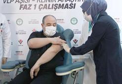 Turkovac'tan sonra ikinci ve daha güzel haber! Bakan Varank gönüllü olmuştu