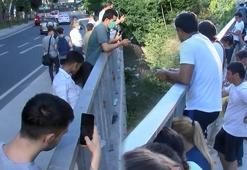 İstanbul'da ilginç görüntü! 5 yıl önce başladı, yol kenarında tribün oluştu...