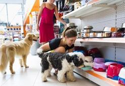 Petshop ve Yerel Hayvan Koruma Görevlisi eğitimi başlıyor!