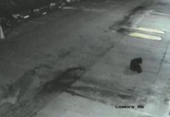 Sarıyer'de vahşet! Kameralara böyle yansıdı