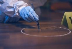 Swap testi nedir? Swap raporu nedir? Swap testi nasıl yapılır? Müge Anlı'da gündem oldu!