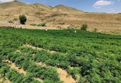PKK’nın finans kaynağına büyük operasyon