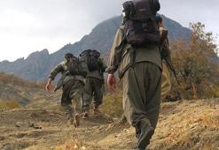 PKK ile ilgili flaş gelişme! Ağlayıp kaçıyorlar