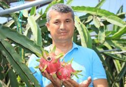 Sipariş yağıyor, herkes istedi! 250 bin lira kazanıyor, adet fiyatı ise 90 lira...