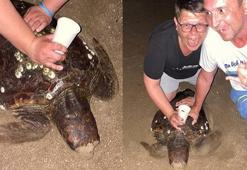 Görüntüler büyük tepki çekmişti! O turistler cezadan kaçamadı