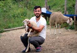 Memleketine geri dönüp bu işi yapmaya başladı! 250 bin liraya sattı