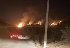 Bodrum'da makilik ve otluk alanda yangın