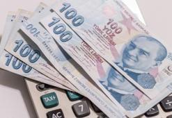 Hibe desteği veriliyor! Harekete geçildi, başvurular...
