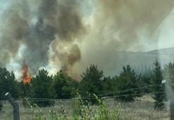 Ankara'da, Atatürk Orman Çiftliği arazisinde yangın!