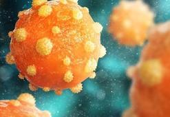 Kronik hepatit hastalarına düzenli tarama uyarısı