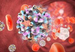 Türkiye'de akut Hepatit B görülme sıklığı 100 binde 1'in altına düştü